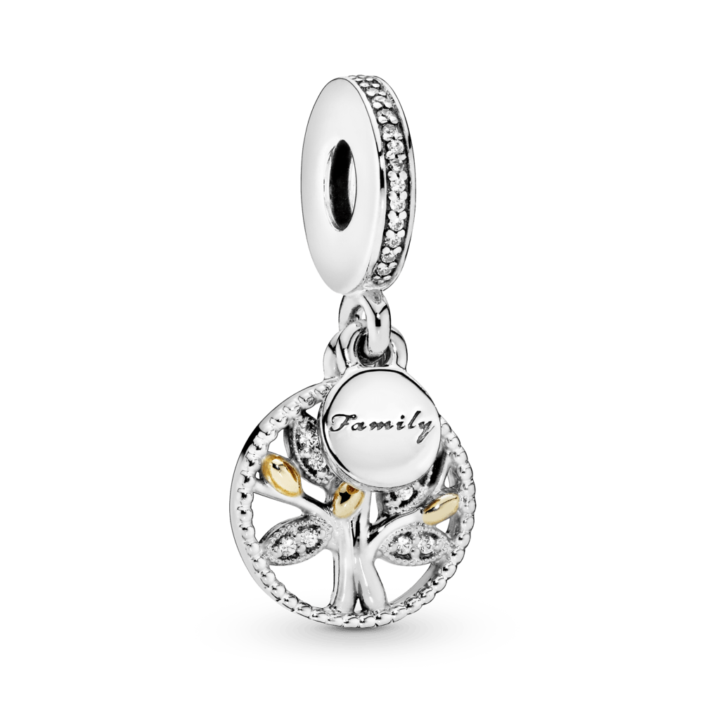 Imagem 1 do produto Charm Heranca De Familia