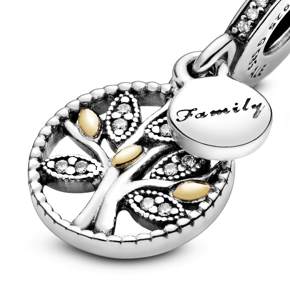 Imagem 2 do produto Charm Heranca De Familia