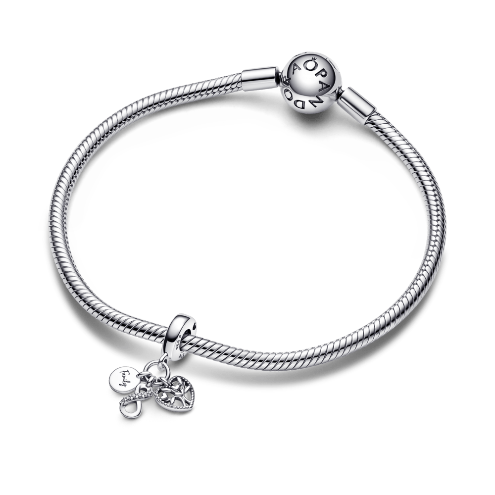 Imagem 3 do produto Charm Prata Pendente Árvore da Família e Infinito
