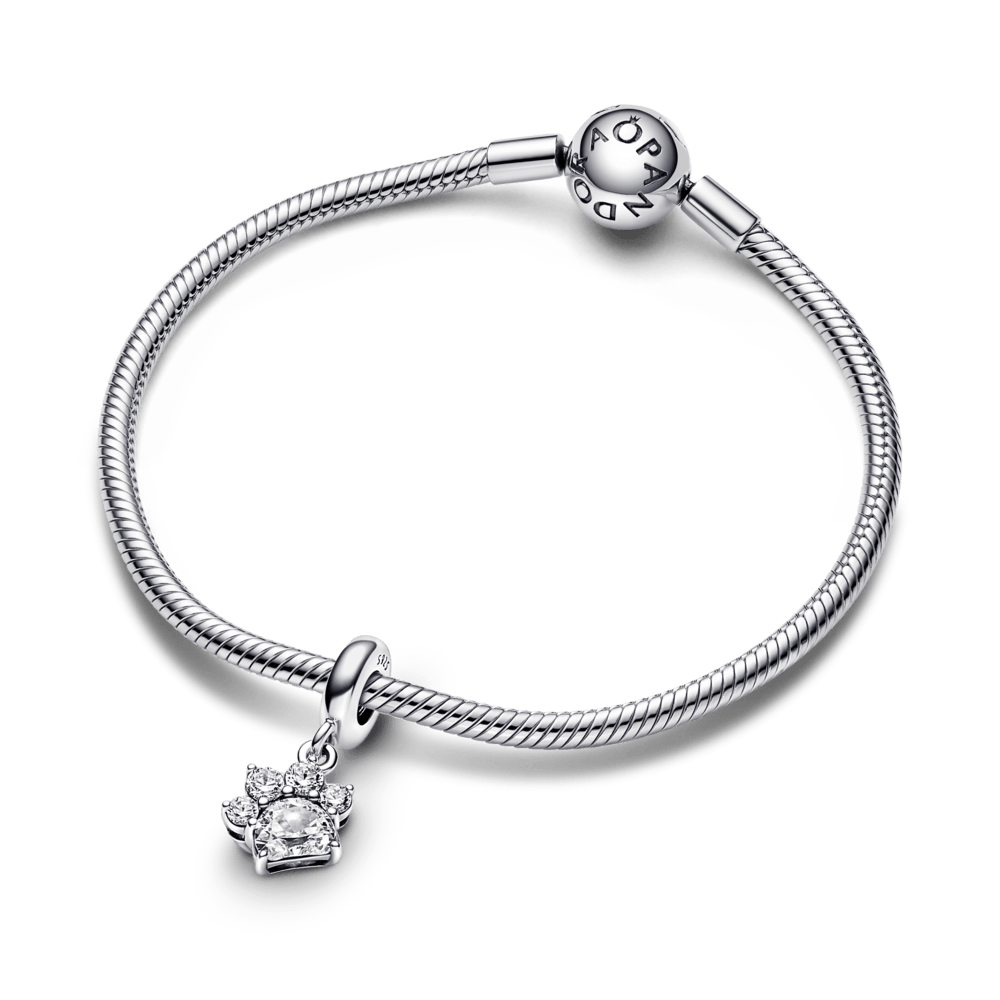 Imagem 4 do produto Charm Prata Pendente Patinha Brilhante