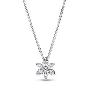Colar Com Pendente Riqueza Botanica Brilhante