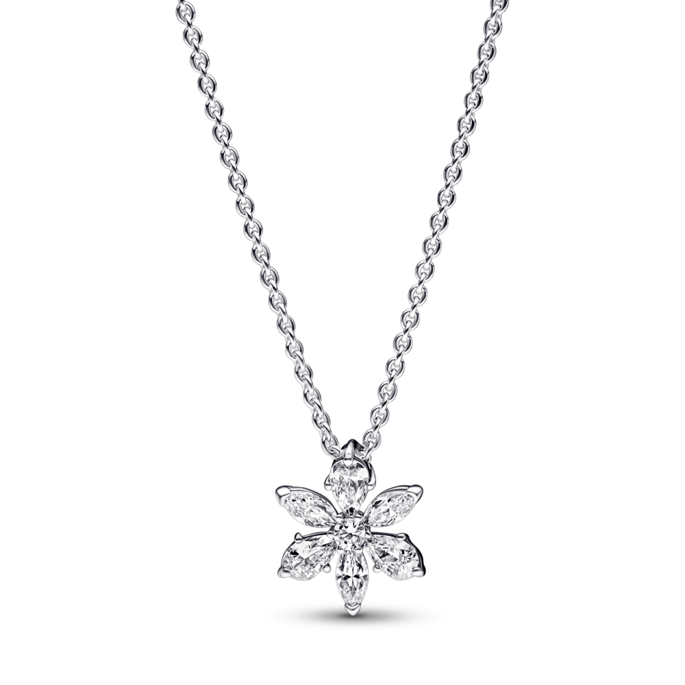 Imagem 1 do produto Colar Com Pendente Riqueza Botanica Brilhante