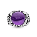 PNGTRPNT_197678ACZ_V2_RGB.png