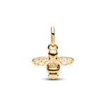 PNGTRPNT_762672C01_V2_RGB.png