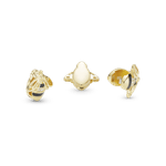 PNGTRPNT_767862EN16_eCom_RGB.png