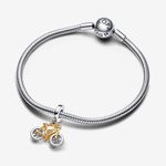 Charm_Pendente_Bicicleta_em_Dois_Tons_763354C01_V1_RGB.png