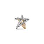 charm-estrela-brilhante-em-dois-tons-763590C01.png