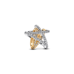 charm-estrela-brilhante-em-dois-tons-763590C01_V2.png