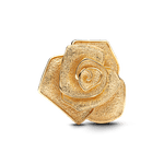 Charm-Ouro-Grande-Rosa-Brilhante-763675C00-V1.png