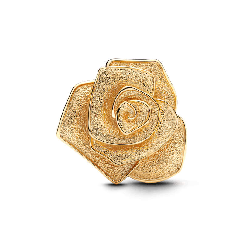 Charm-Ouro-Grande-Rosa-Brilhante-763675C00-V1.png