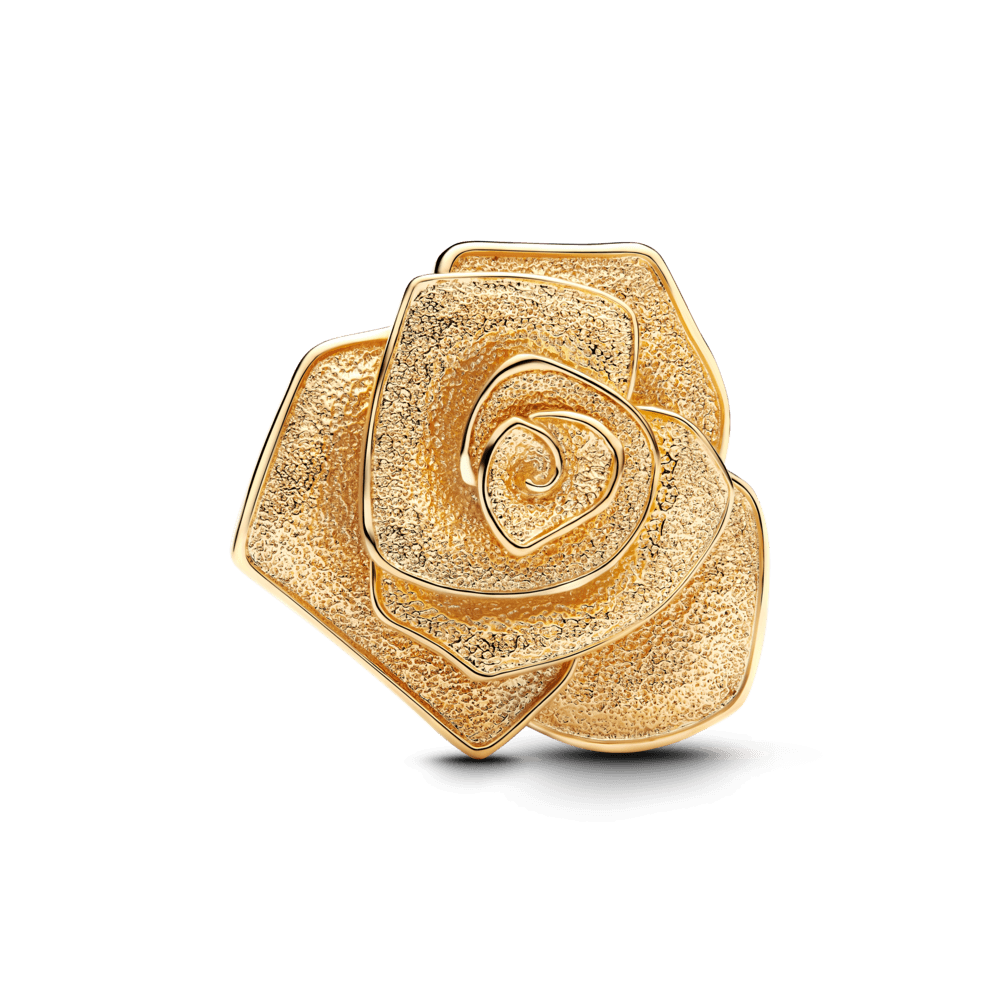 Charm-Ouro-Grande-Rosa-Brilhante-763675C00-V1.png