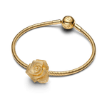 Charm-Ouro-Grande-Rosa-Brilhante-763675C00-V3.png