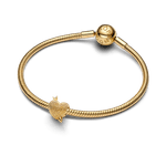 Charm-Ouro-Coracao-E-Flecha-763666C00-V3.png