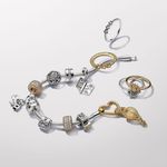 Charm_Prata_Mochila_de_Viagem_793351C00_V1_RGB.png