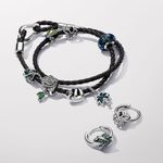 Charm_Prata_Sapo_Verde_793342C01_V1_RGB.png