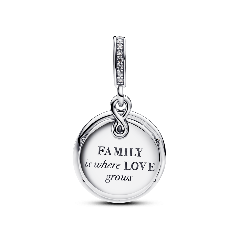 charm-prata-pendente-árvore-da-família-infinita-793599C01_V2.png