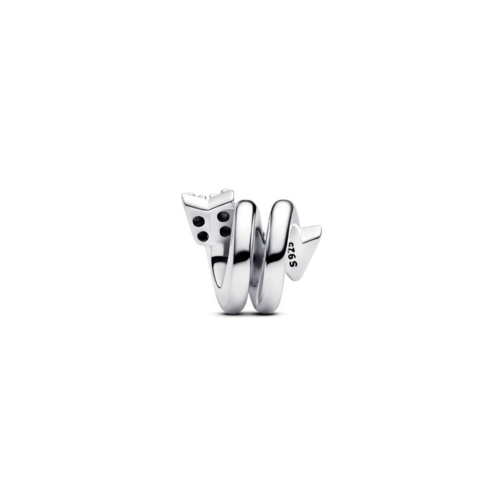 Charm-Prata-Flecha-Torcida-Brilhante-793665C01-V2.png
