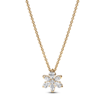 Colar-De-Ouro-Riqueza-Botanica-Radiante-362387C01-RGB--1-.png