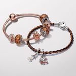 Charm_Rose_Disney_Nala_de_O_Rei_Leao_783250C01_V1_RGB.png