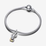 Charm_Pendente_Macaco_em_Dois_Tons_763343C01_V1_RGB.png