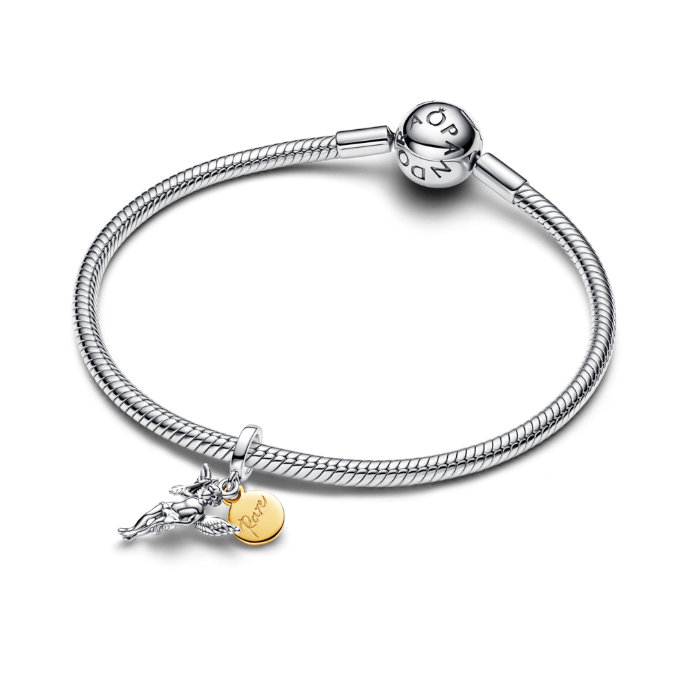 Charm-Pendente-Anjo-Cupido-Gravável-763663C00-V3.png