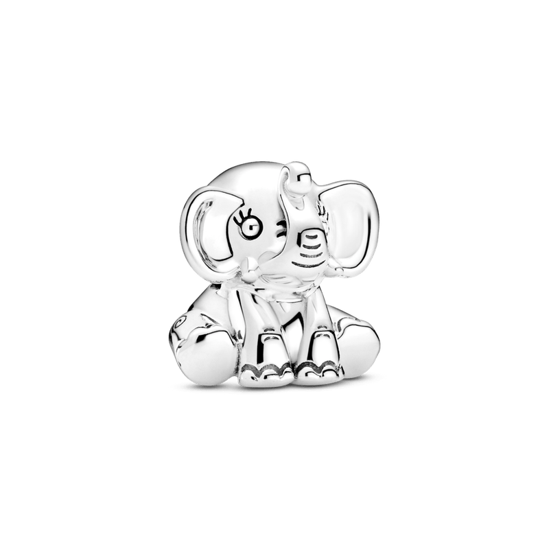 PNGTRPNT_799088C00_RGB.png