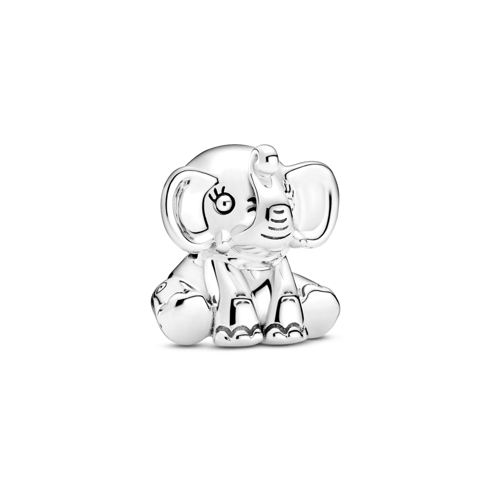 PNGTRPNT_799088C00_RGB.png
