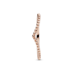 PNGTRPNT_186315_V3_RGB.png