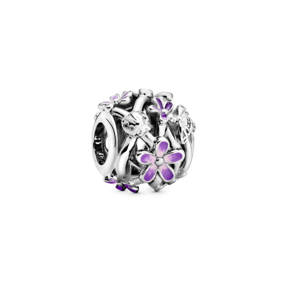PNGTRPNT_798772C02_RGB.png