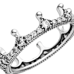 PNGTRPNT_197087CZ_V4_RGB.png