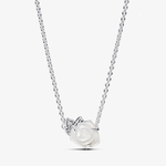 colar-prata-e-pingente-rosa-branca-de-madreperola-393206c01.png