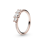 PNGTRPNT_186242CZ_RGB.png