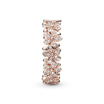 PNGTRPNT_180934CZ_V3_RGB.png