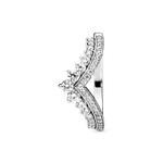 PNGTRPNT_197736CZ_V3_RGB.png