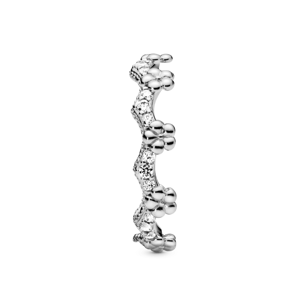 PNGTRPNT_197924CZ_V3_RGB.png