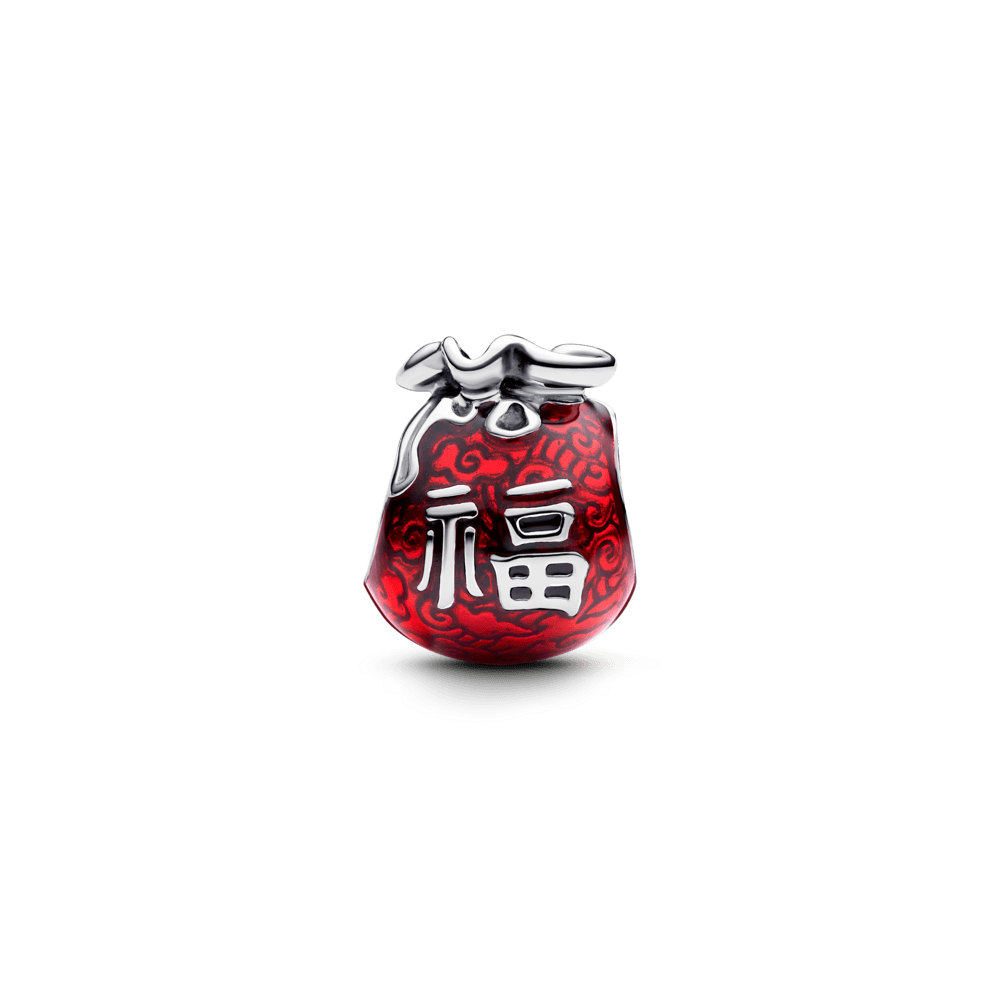 Charm-Prata-Bolsa-Da-Sorte-Chinesa-793620C01.png