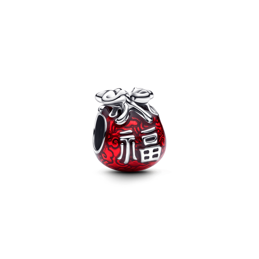 Charm-Prata-Bolsa-Da-Sorte-Chinesa-793620C01-v2.png