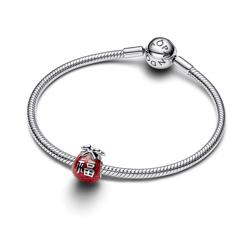 Charm-Prata-Bolsa-Da-Sorte-Chinesa-793620C01-v3.png