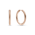 PNGTRPNT_289532C00_RGB.png