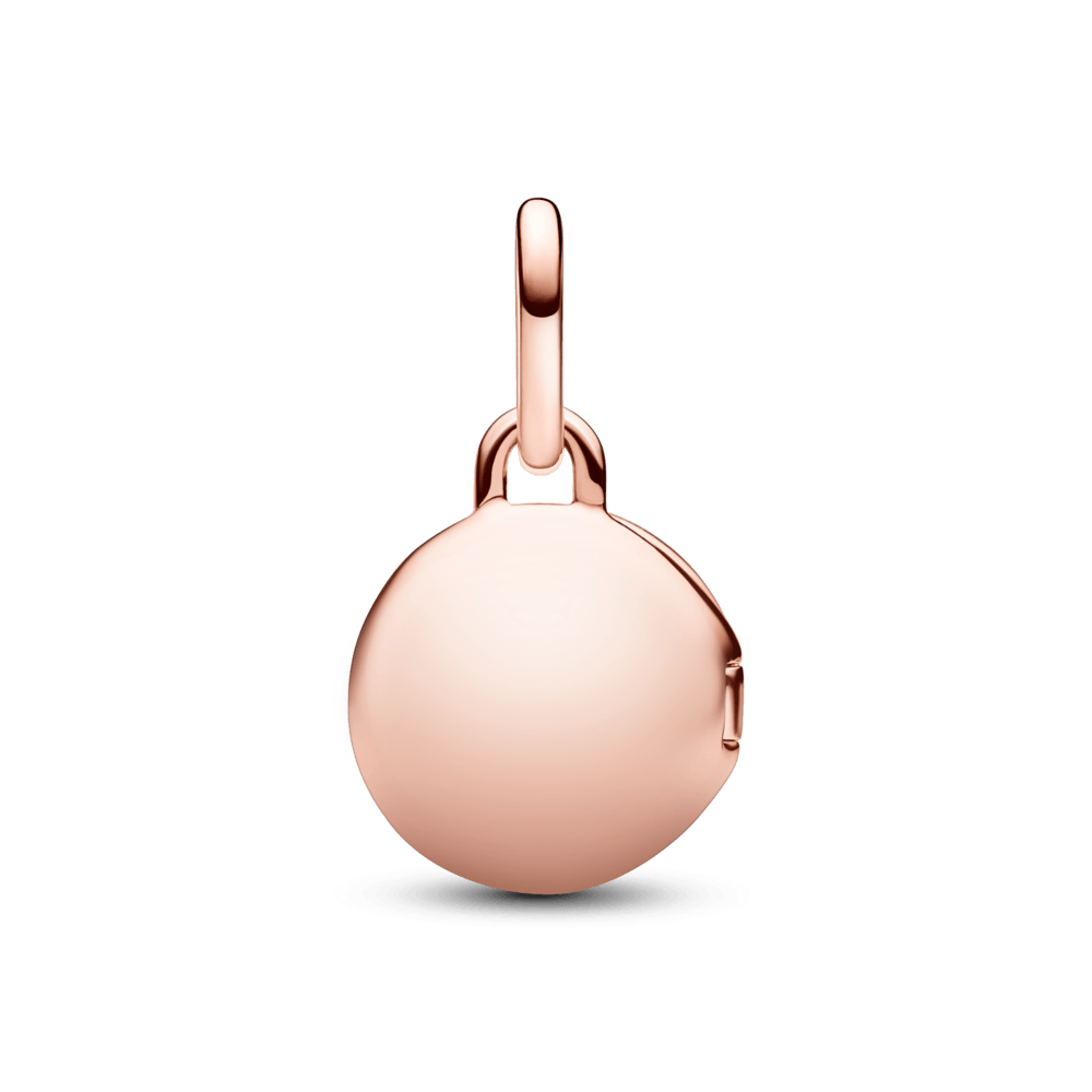 783066C01_2.png