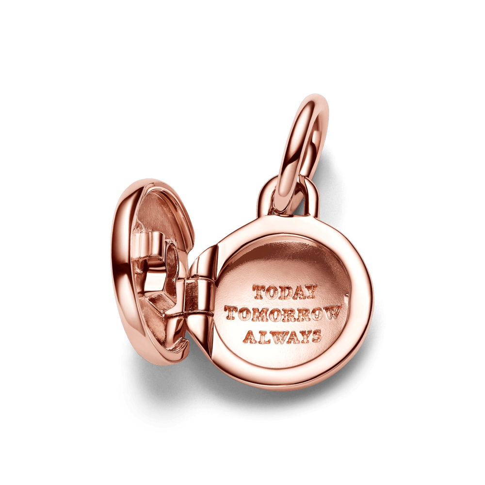 783066C01_4.png