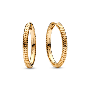Argolas Corrente Em Ouro Pandora Moments