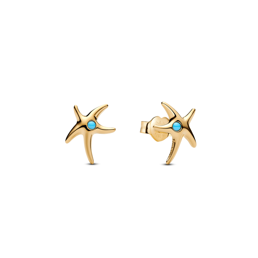Brinco-Ouro-Estrela-do-Mar-263820C01.png