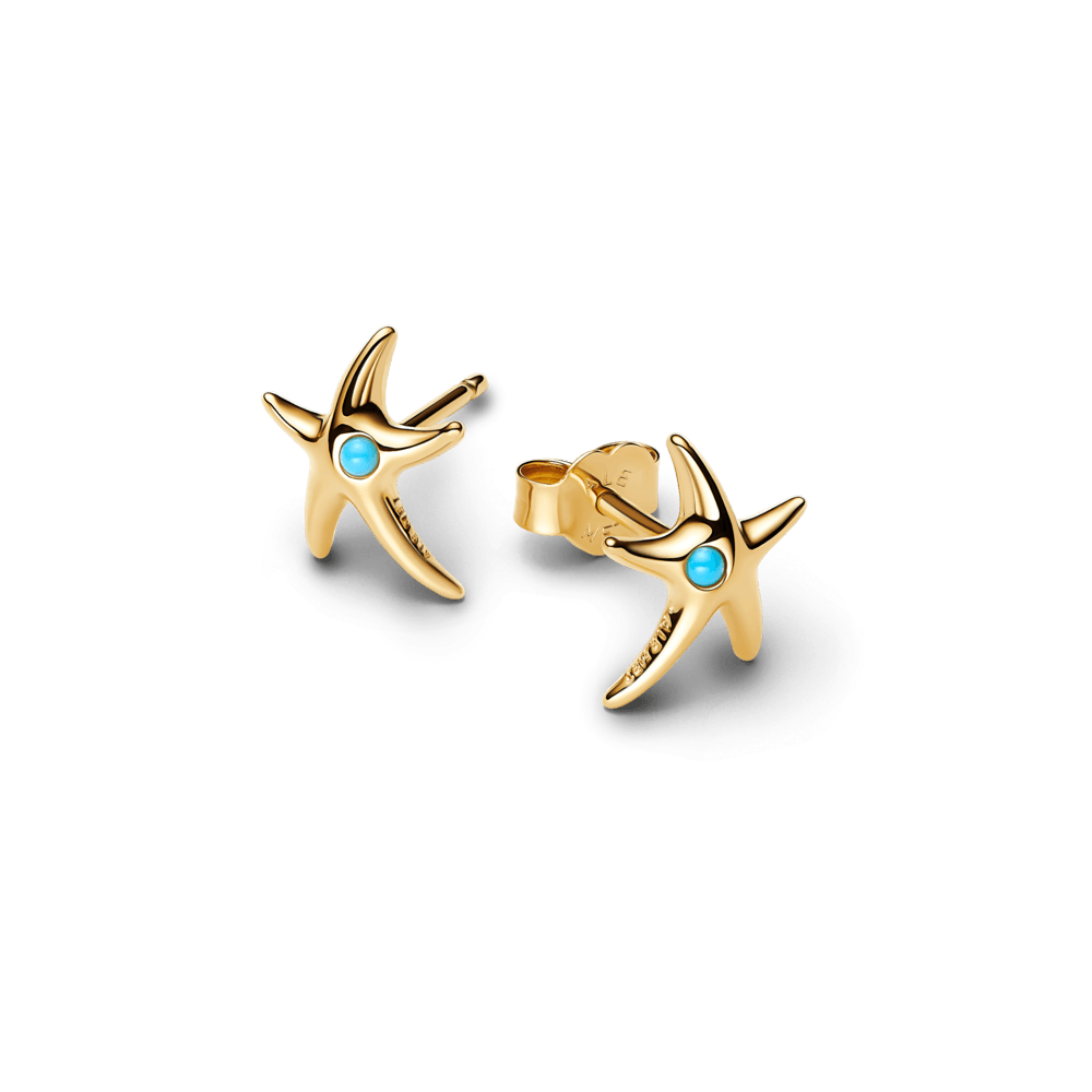 Brinco-Ouro-Estrela-do-Mar-263820C01-v2.png