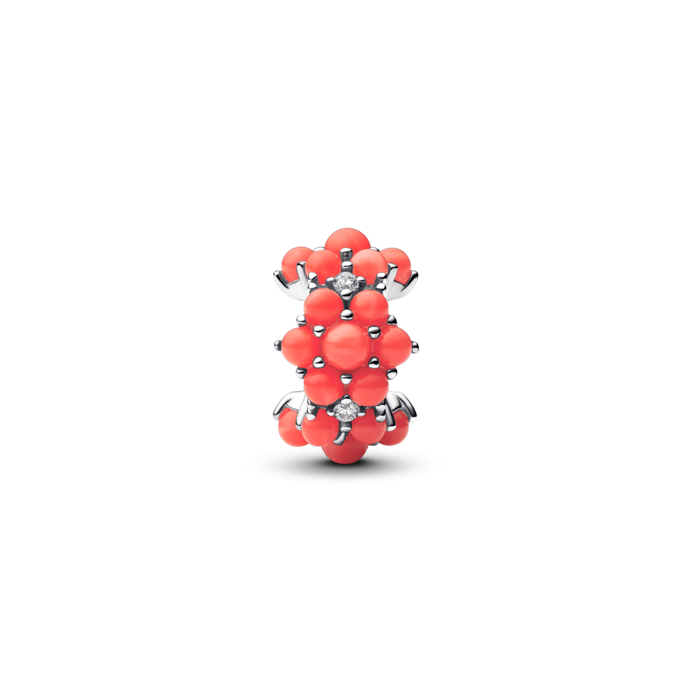 Charm-Prata-Coral-793897C01-v1.png