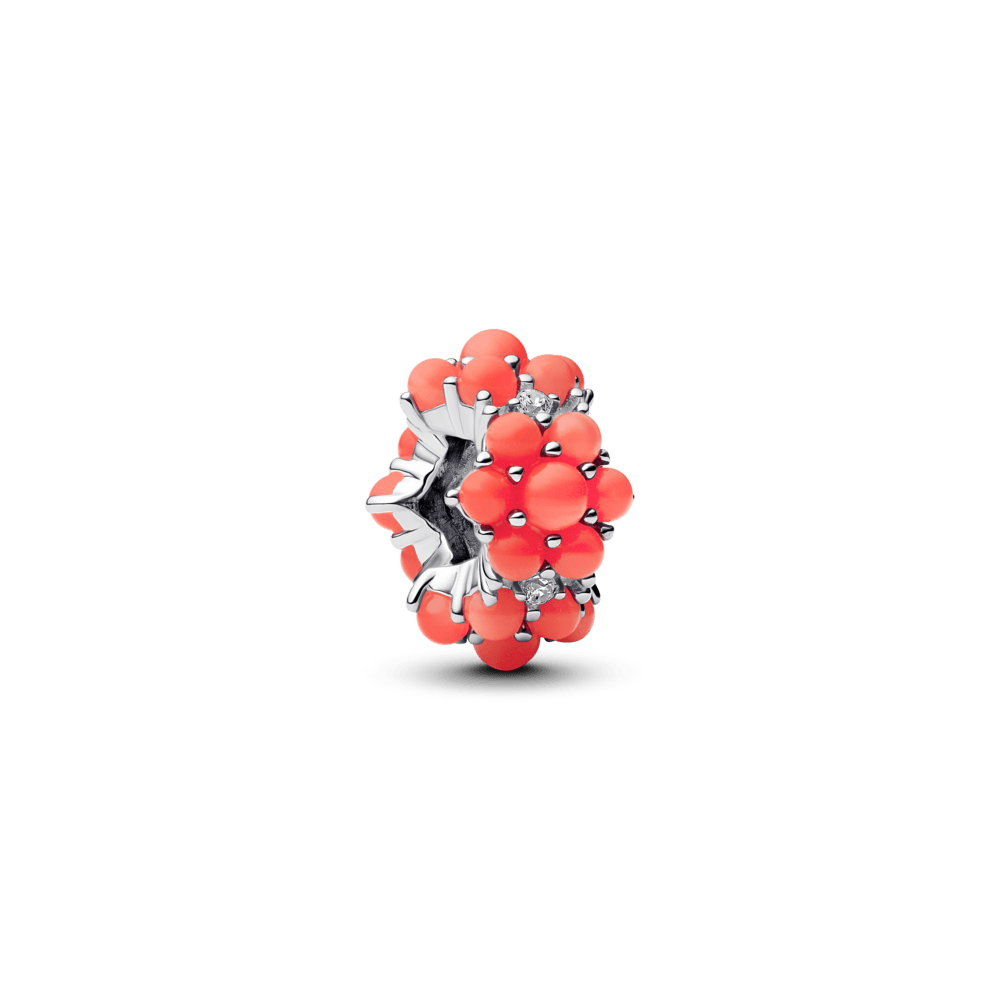 Charm-Prata-Coral-793897C01-v2.png