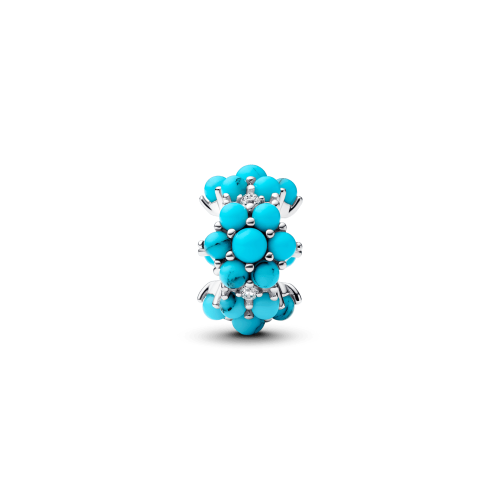 Charm-Prata-Azul-Turquesa-793897C02 (3).png