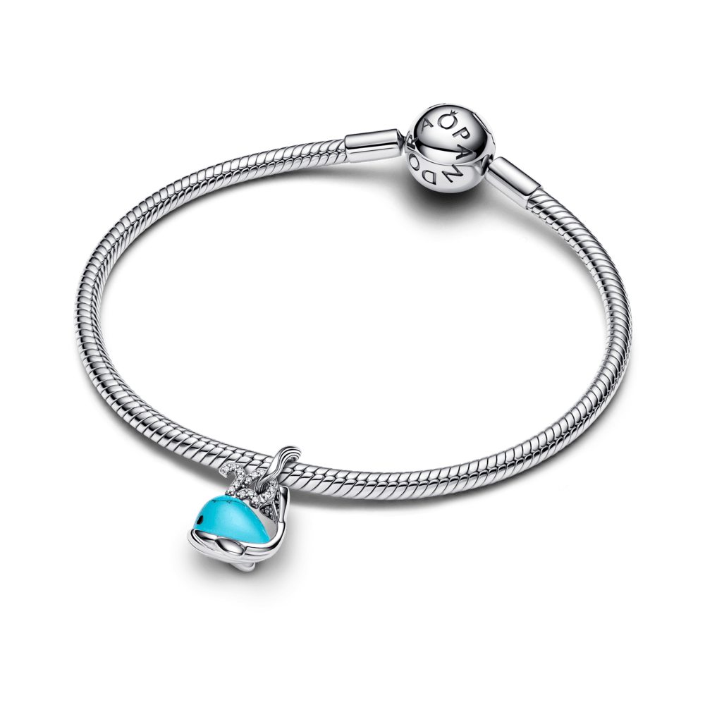 Charm-Prata-Baleia-Turquesa-793822C01-v3.png