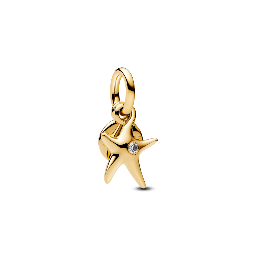 Charm-Ouro-Estrela-Do-Mar-Com-Zirconia-763892C01.png