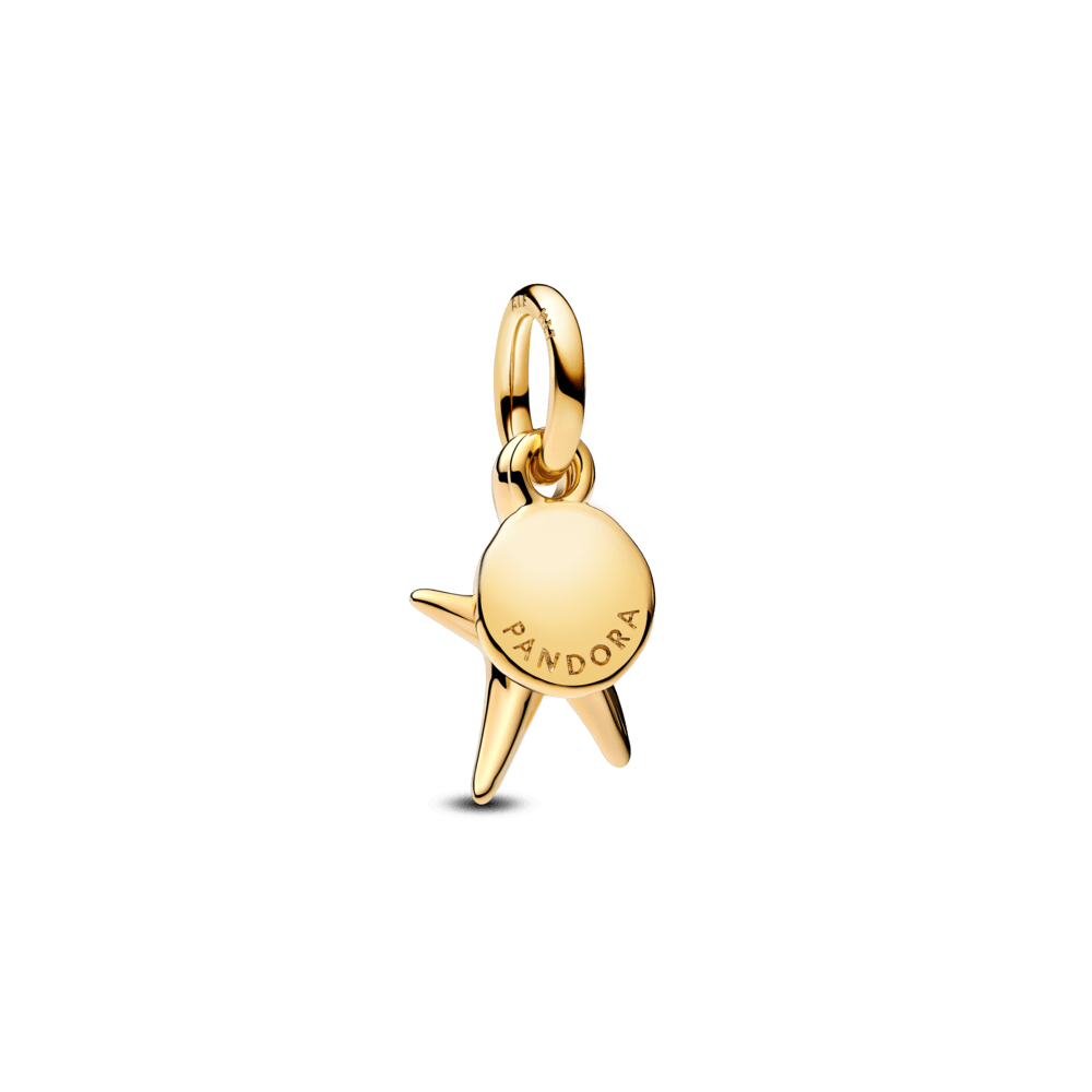 Charm-Ouro-Estrela-Do-Mar-Com-Zirconia-763892C01-v2.png